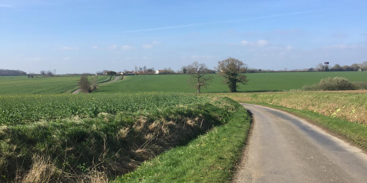 Looking towards Mill Green 